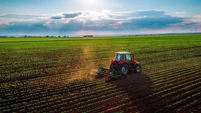 como-afecta-la-covid-19-a-la-agricultura