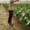 Zancos para trabajos en altura