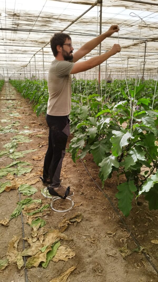 Zancos para trabajos en altura